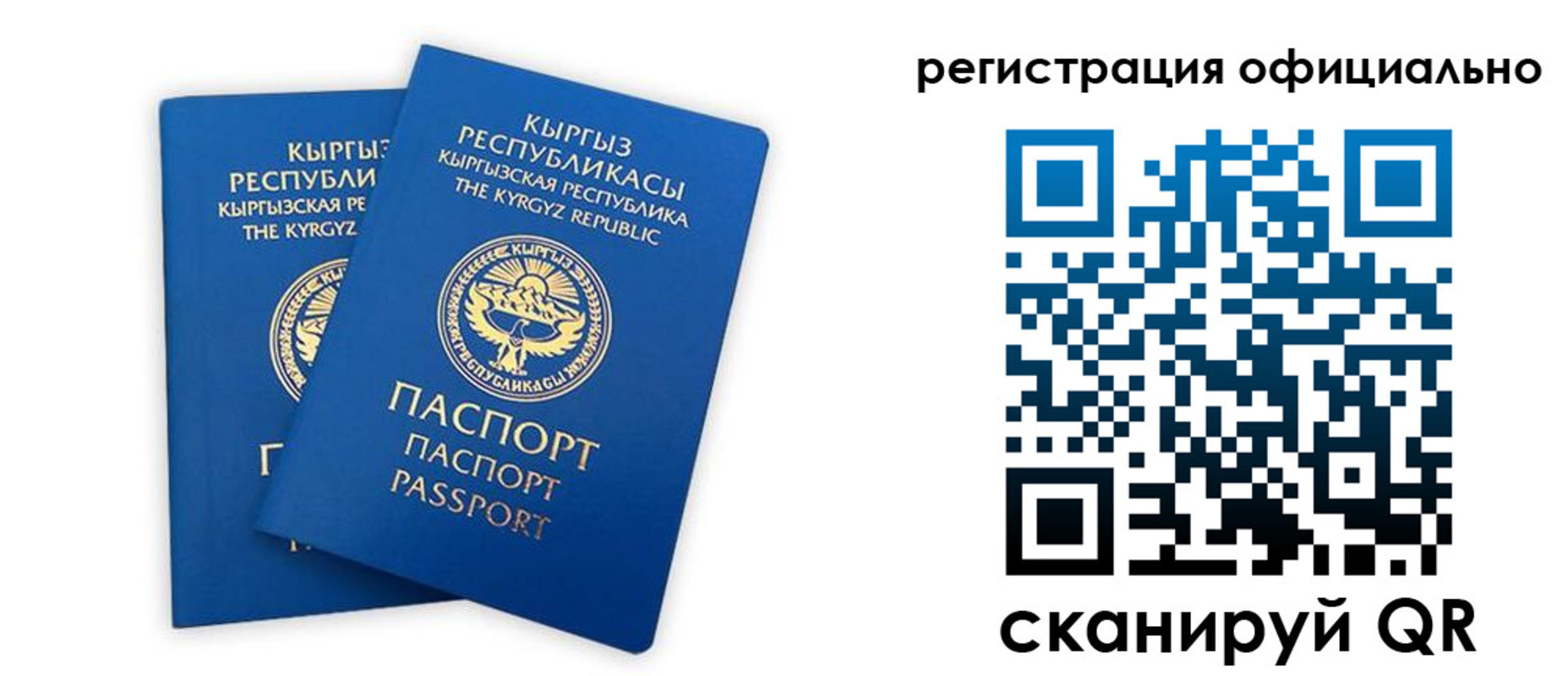 прописка поиск в Ингушетии